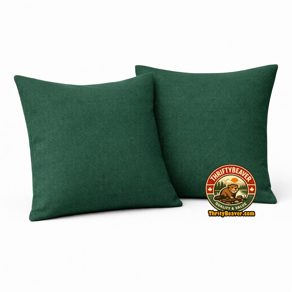 2 decorative cushions